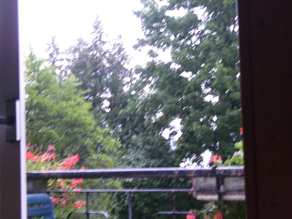 ~traunsee~ - 