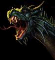 Drachen - 