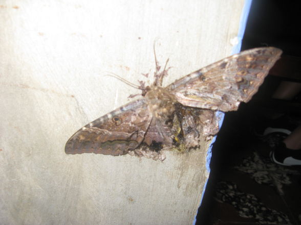 Nicaragua - 