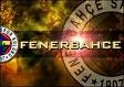 FENER IS THE BEST FUCK ALL THE REST ???? - 