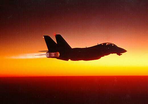 F-14 Tomcat - 