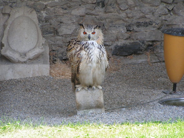 Wachau-Ausflug - 