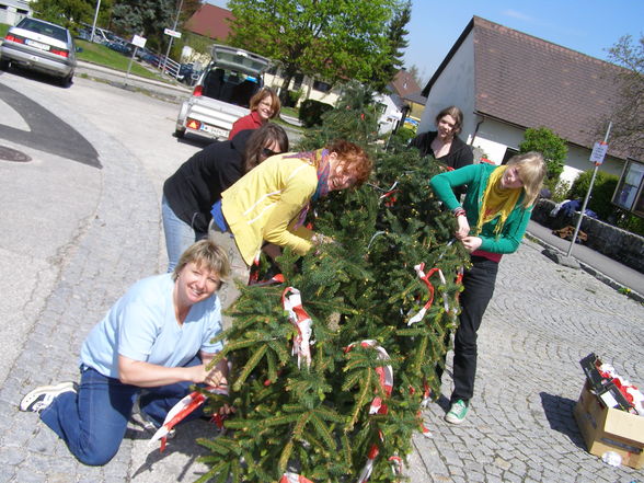 Maibaum aufstön 2008 - 