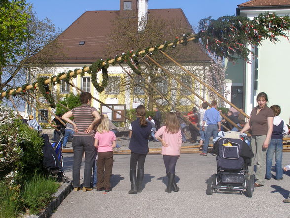 Maibaum aufstön 2008 - 