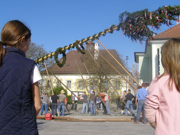 Maibaum aufstön 2008 - 