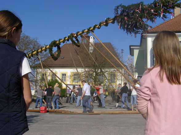 Maibaum aufstön 2008 - 