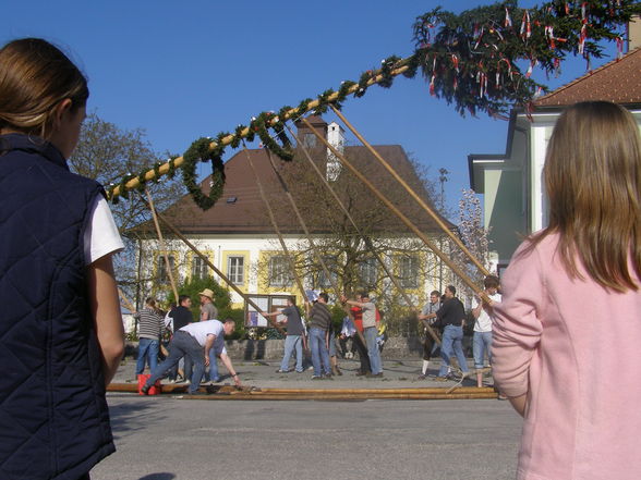 Maibaum aufstön 2008 - 