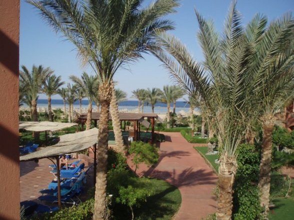 Sharm El Sheikh 07 - 