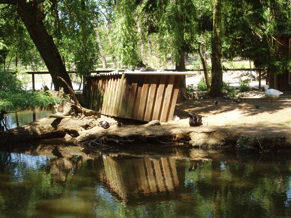 Tiergarten Stadt Haag - 