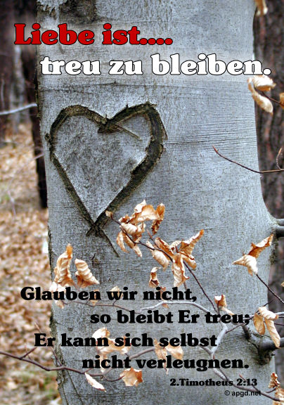 Liebes Bilder - 