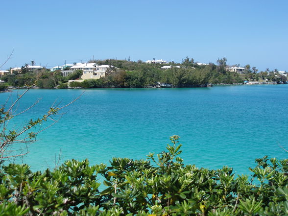 Bermuda - 