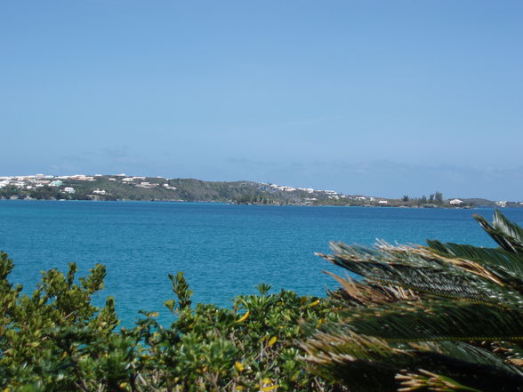 Bermuda - 