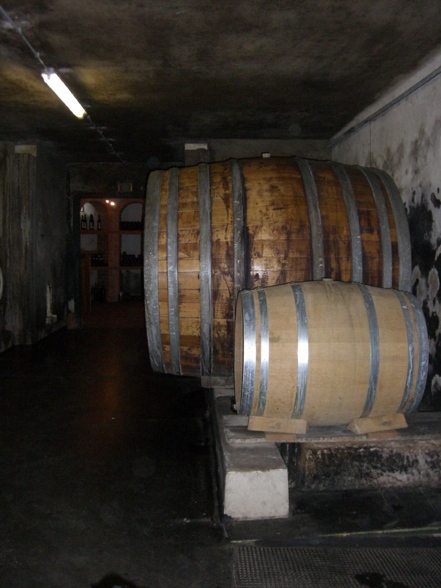 Weinkosten Burgenland - 