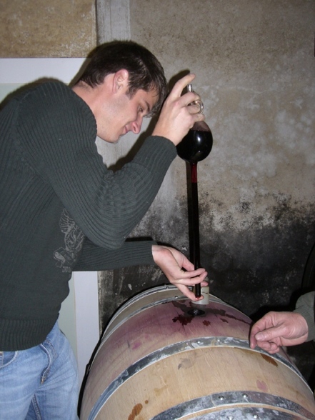 Weinkosten Burgenland - 