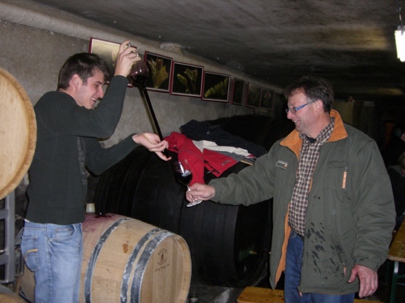 Weinkosten Burgenland - 