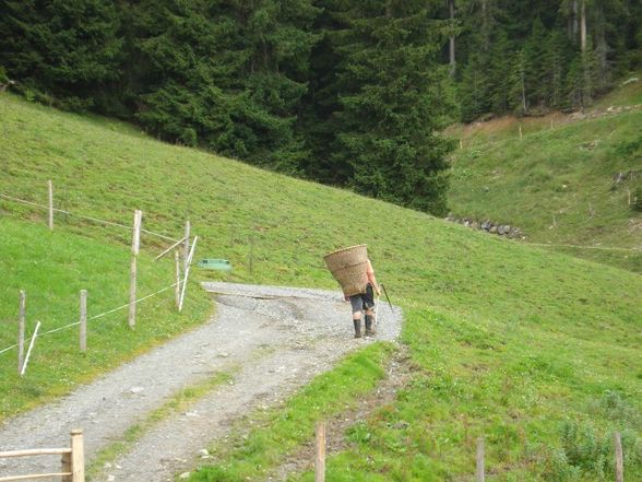 Urlaub in Tirol - 