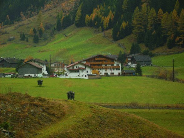 Urlaub Tirol - 