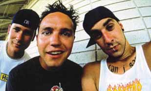 Das Andenken von Blink 182 - 