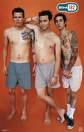 Das Andenken von Blink 182 - 