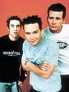 Das Andenken von Blink 182 - 