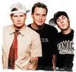 Das Andenken von Blink 182 - 