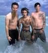 Das Andenken von Blink 182 - 