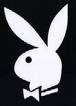 D&G / PlAyBoY - 