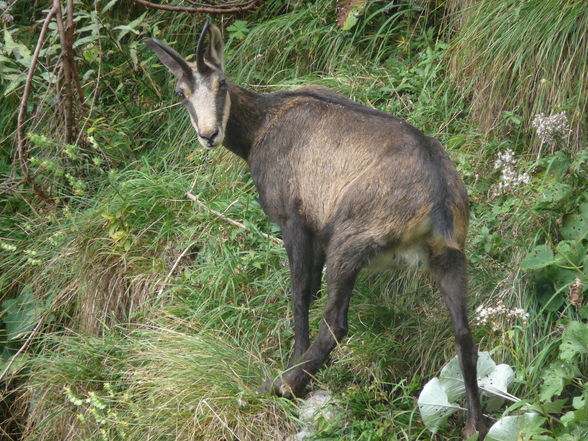 Traunstein 22/09/09 - 