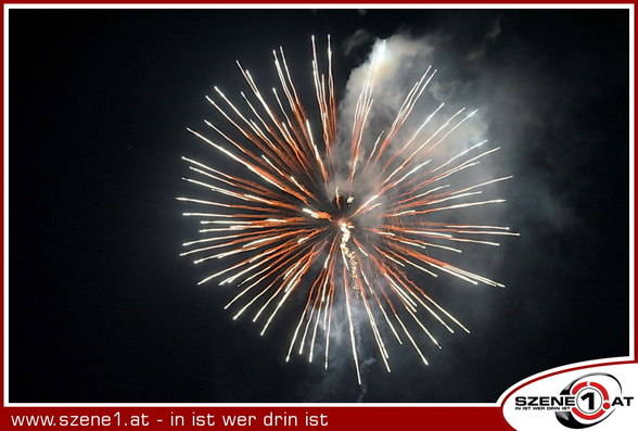 ---->stAdT<-->fEsT<----- - 