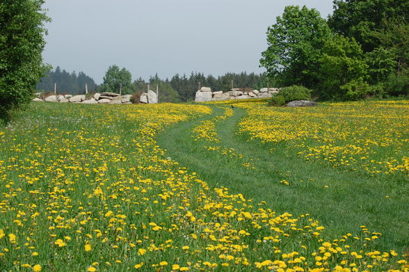 Hirschalm Märchenpark - 