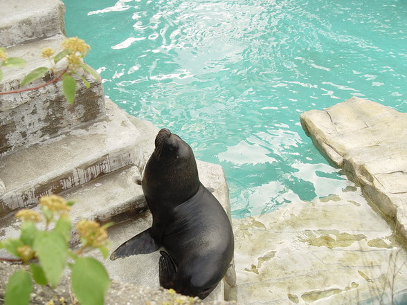 Fabelhafte Tierwelt Schönbrunn - 