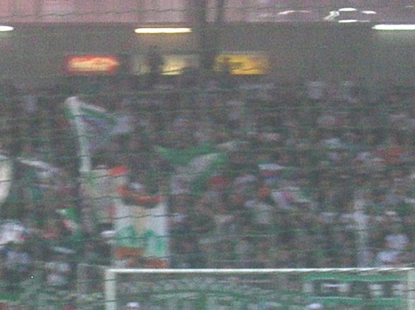 Rapid Wien - Wacker Innsbruck - 