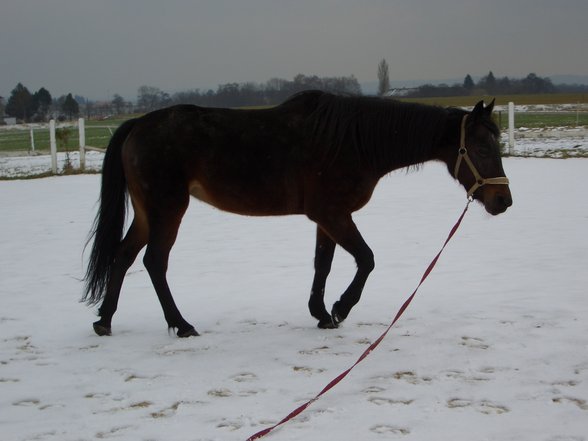 Mein ganzer Stolz! - 