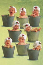 anne geddes - 