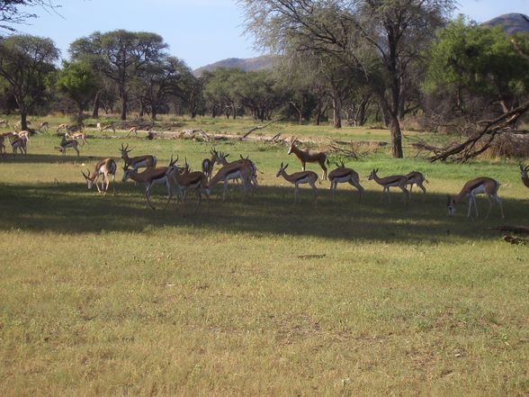 Namibia 08/09 - 