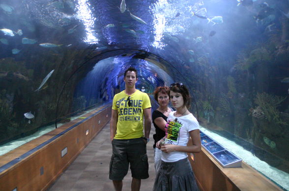 schönes valencia 2009 (:  - 