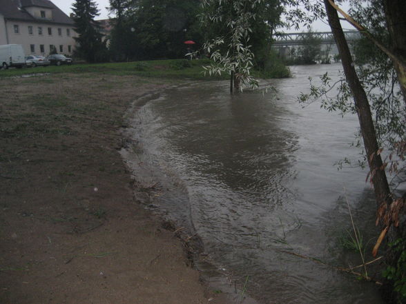 Hochwasser Ennsdorf Beach - 