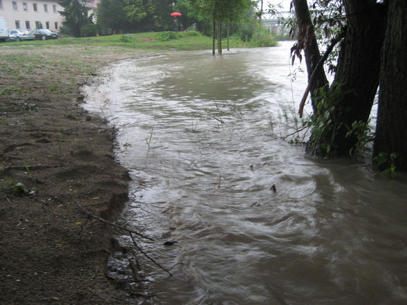 Hochwasser Ennsdorf Beach - 