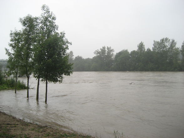 Hochwasser Ennsdorf Beach - 