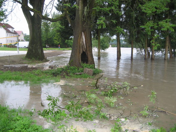 Hochwasser Ennsdorf Beach - 