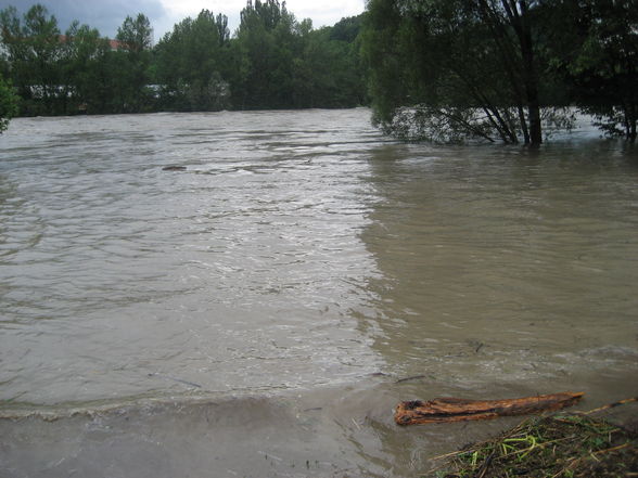 Hochwasser Ennsdorf Beach - 