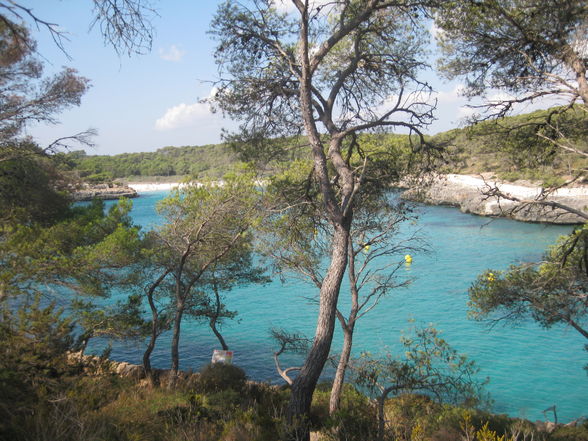 :::::::::::::::: MALLORCA :::::::::::::: - 