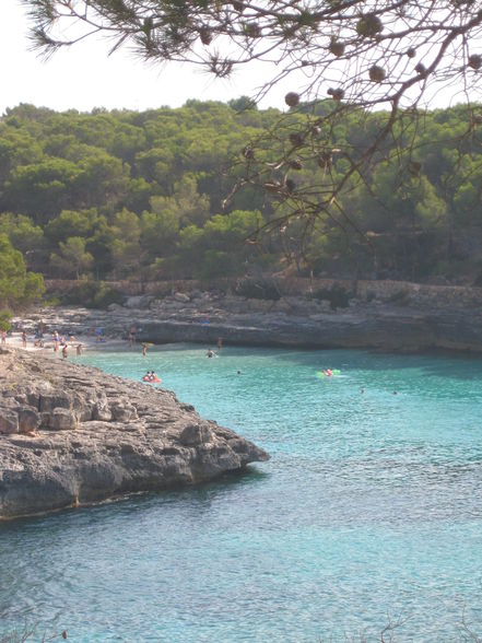 :::::::::::::::: MALLORCA :::::::::::::: - 