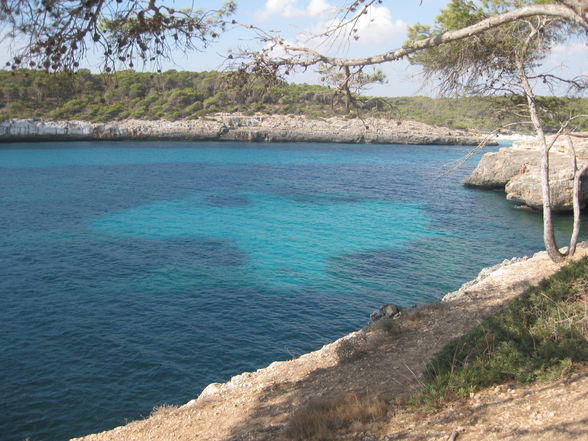 :::::::::::::::: MALLORCA :::::::::::::: - 