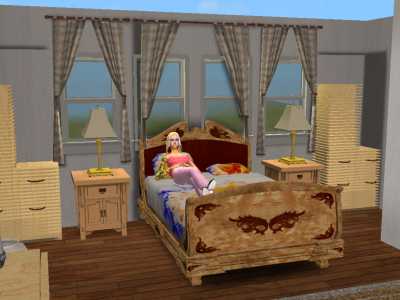 Sims2 - 