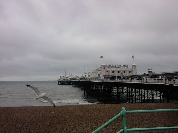 brighton - 