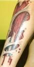 My World (tattoos) - 