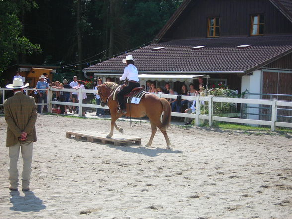 vereinsmeisterschaft 2008 - 