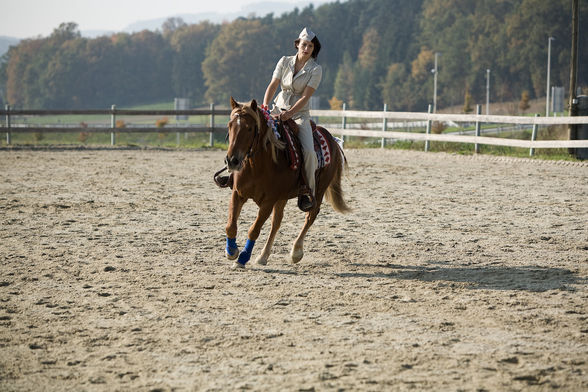 freestyle reining - 