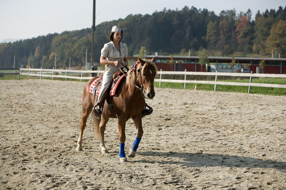 freestyle reining - 